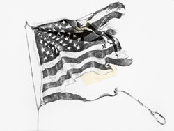 Damaged American Flag